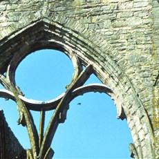 Tintern abbey