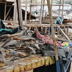 Lambaréné fish market