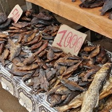 Lambaréné fish market