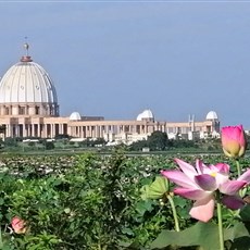 Leaving Yamoussoukro - basilica