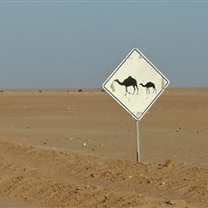 Chami to Tasiast Mine intersection