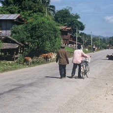 Laos between Vang Vieng and Luang Prabang