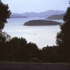 Bay of Islands