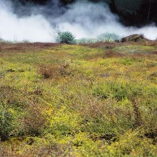 Craters of the Moon