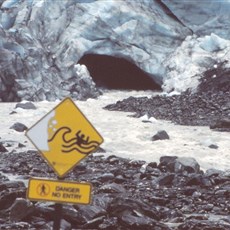 Fox Glacier