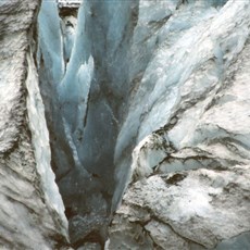 Fox Glacier