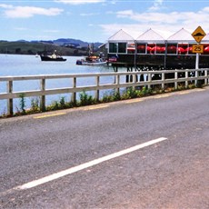 Mangonui