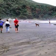 Piha beach