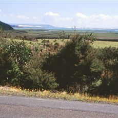 En route Cape Reinga