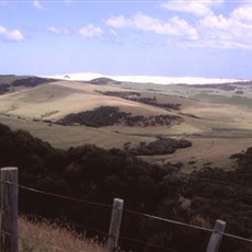 En route Cape Reinga