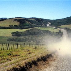 En route Cape Reinga