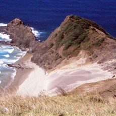 En route Cape Reinga