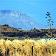 En route Graaff-Reinet