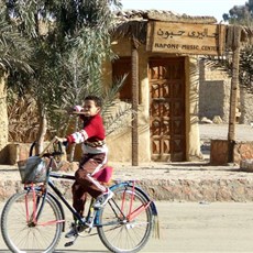 Siwa oasis