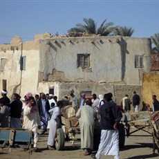 Siwa oasis