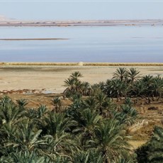 Siwa oasis