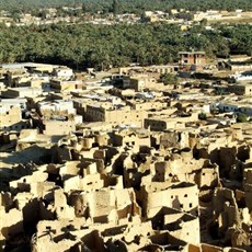 Siwa oasis