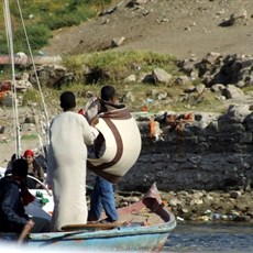 Felucca ride