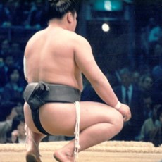 Sumo wrestling